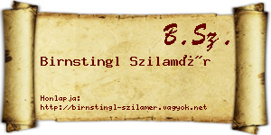 Birnstingl Szilamér névjegykártya